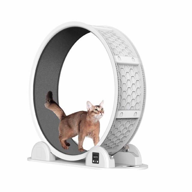 キャットホイール