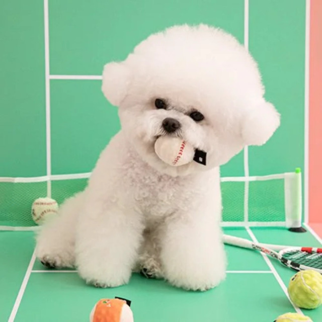 BITE ME】ミニスポーツボールおもちゃセット（3個入り） Pets-first