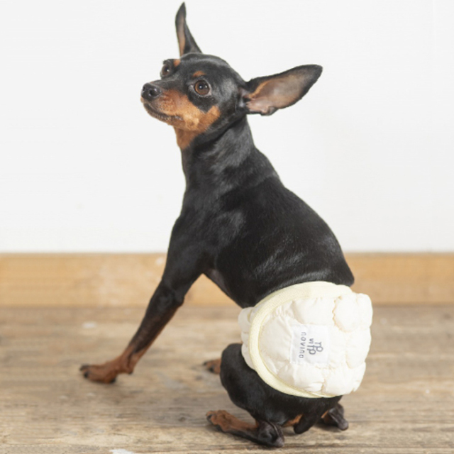 novino】ぽこぽこマナーベルト（男の子用） Pets-first ONLINESTORE