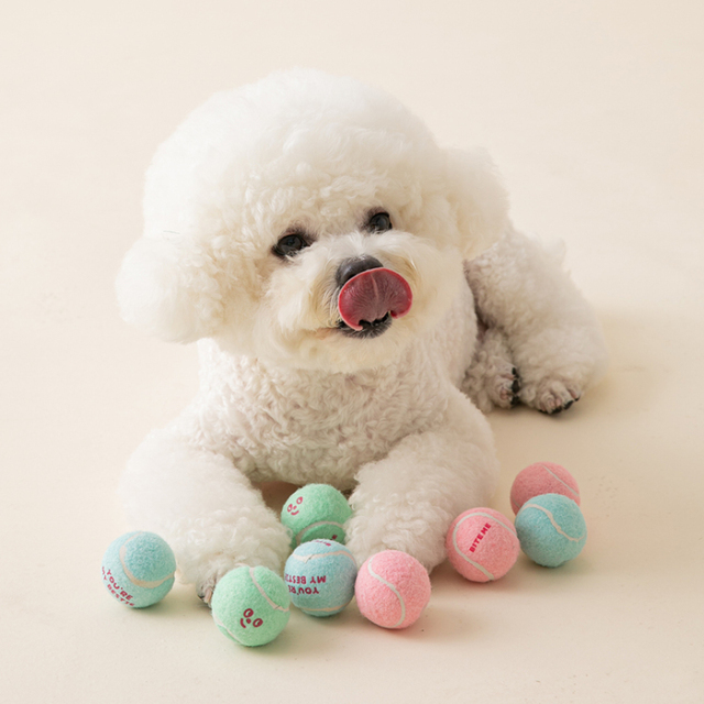 ミニテニスボールおもちゃ