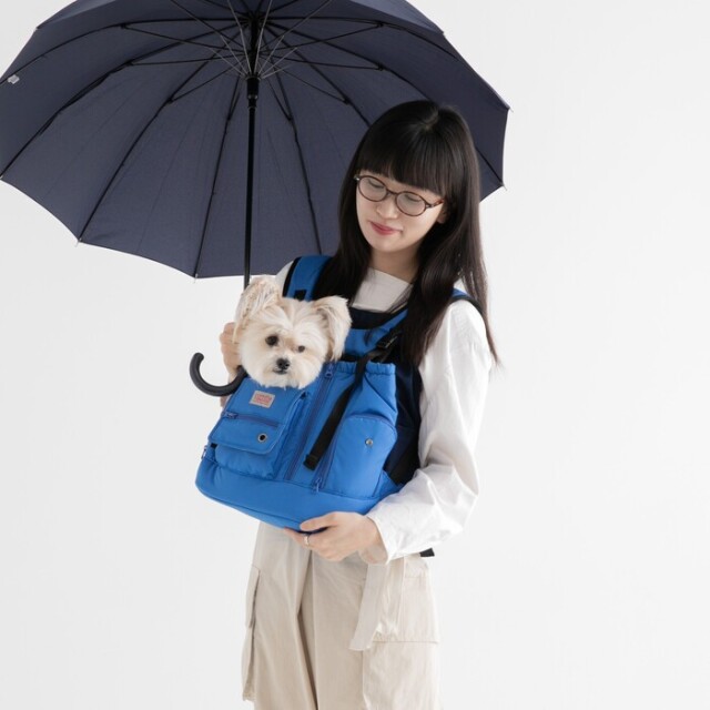 テンマイルバッグ