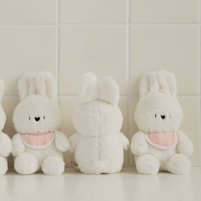 マイベスティバニーおもちゃ