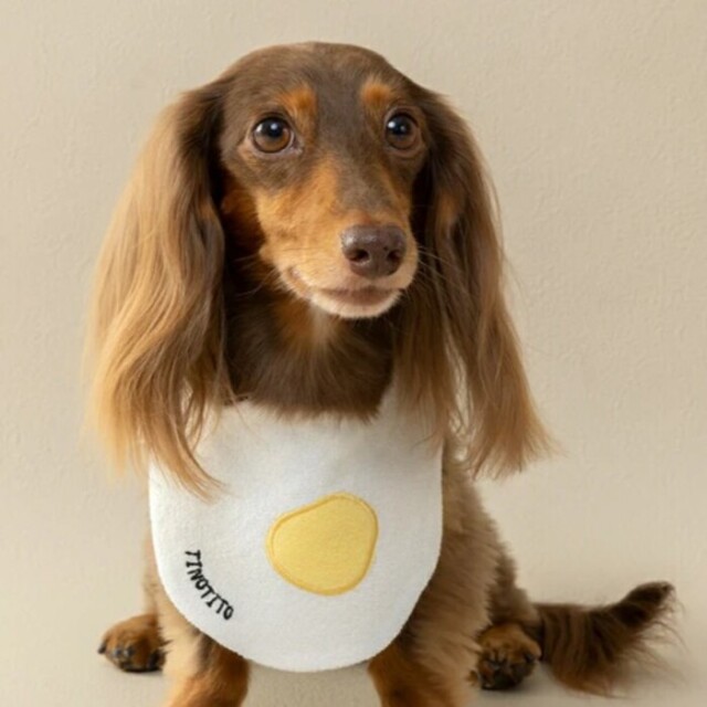 遠赤外線マイカヒーター(ステンレスホルダーＢ付き) 犬、猫、小動物用 遠赤外線マイカヒーター2 Pets-first ONLINESTORE