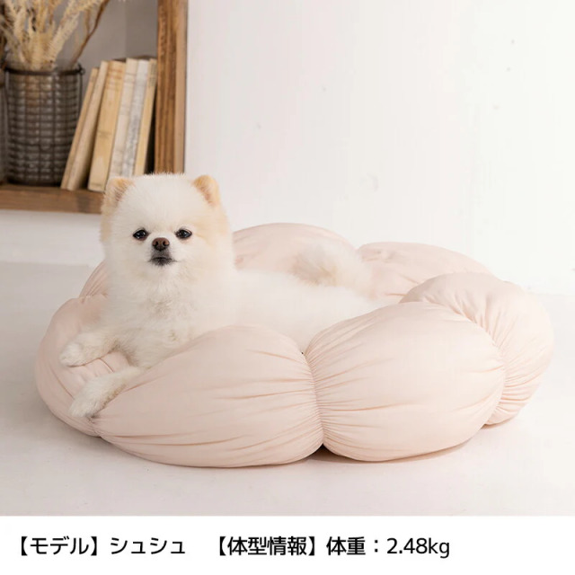 【かなり希少】カーディナルズ　バブルヘッド Amazon.co.jp: テオスカー ヘルナンデス／”シルバースラッガー賞