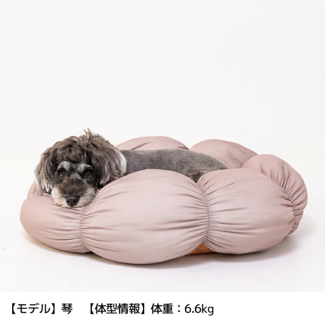 Solgra（ソルグラ） 花型ベッド Pets-first ONLINESTORE