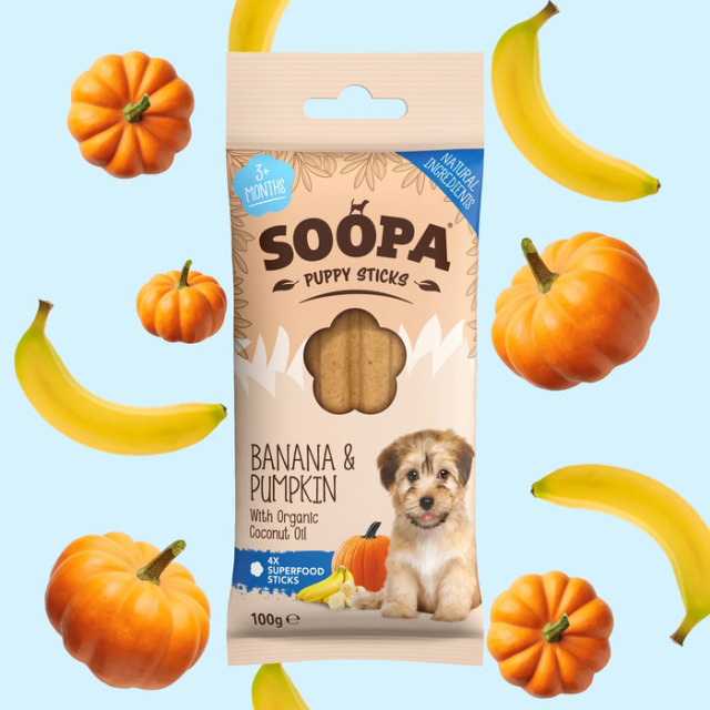 SOOPA】バナナ アンド パンプキン デンタルスティック for パピー（犬