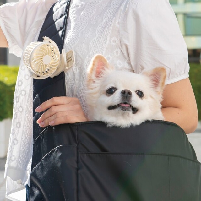 クリップファン(小型扇風機) Pets-first ONLINESTORE