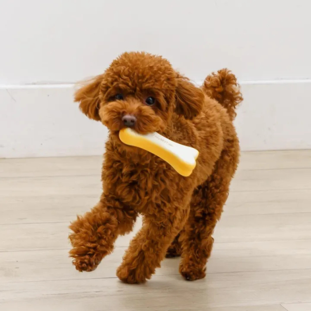 MyBESTiee　ハッピーバースデーBOX