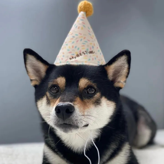 MyBESTiee　ハッピーバースデーBOX