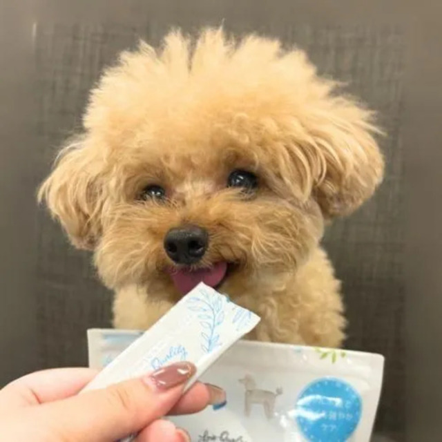 LoveQuality】おくちすこやかゼリー（ヨーグルト風味） Pets