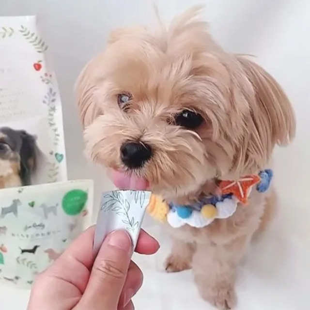 LoveQuality】おくちすこやかゼリー（りんご風味） Pets-first