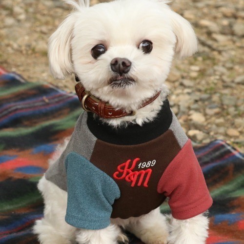 【クリフメイヤー】もちのびT（ロゴ）