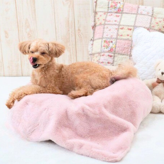 【tassu】ブランケット Mimi