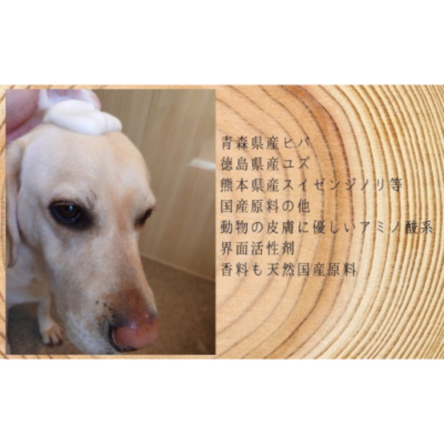 慶和シャンプー