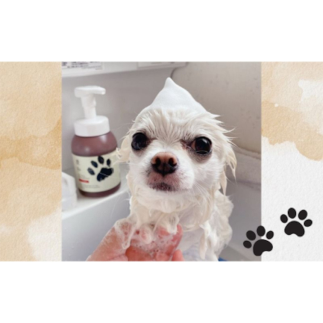 慶和シャンプー