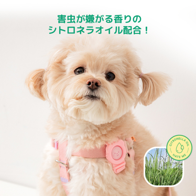 【BITE ME】ヘイトミーバンド