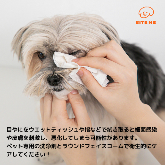 ジェリーベアー ラウンド フェイスコーム