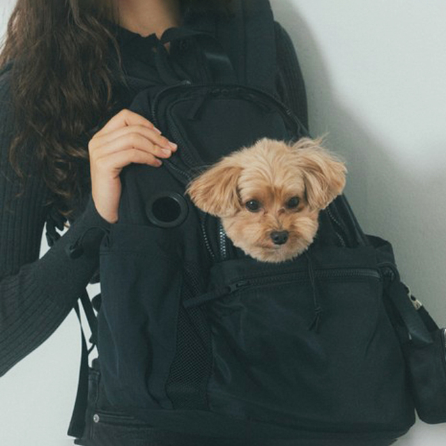 MATIE】ペットリュック S（ミニ） Pets-first ONLINESTORE