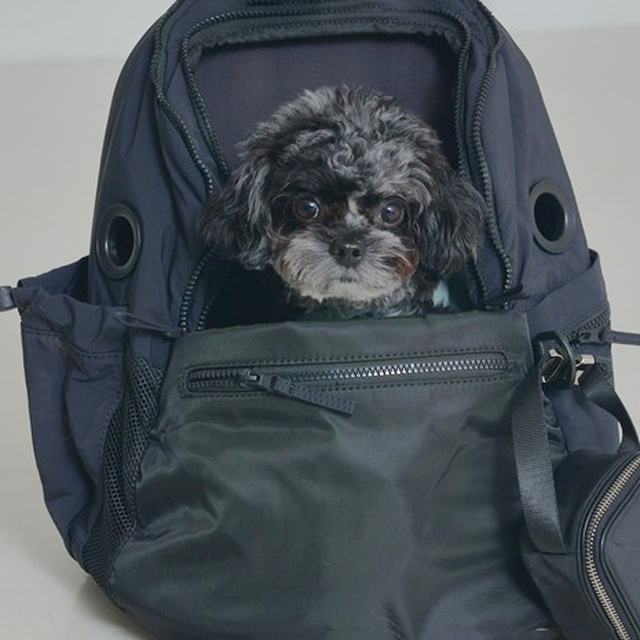 MATIE】ペットリュック S（ミニ） Pets-first ONLINESTORE