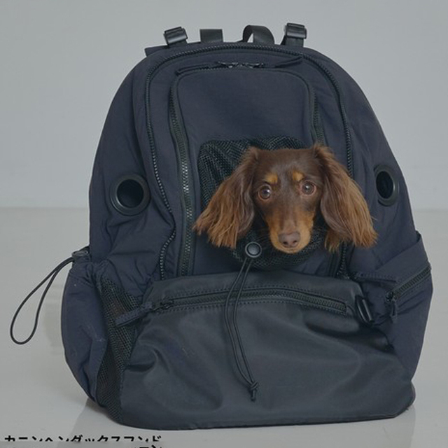 MATIE】ペットリュック M Pets-first ONLINESTORE