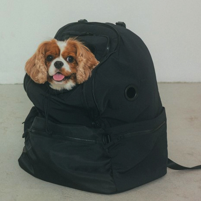 MATIE】ペットリュック L Pets-first ONLINESTORE