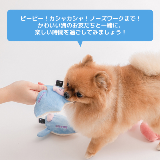 【BITE ME】海のお友だちおもちゃ  エイ&イカ