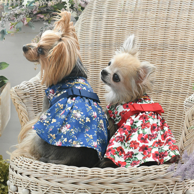 在庫限り】ROPE' PICNIC ギンガムチェックキャミワンピ Pets-first