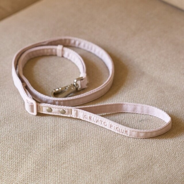 gelato pique　リード