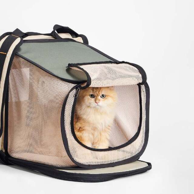 【新品】ピダン pidan 猫 犬 折りたたみトラベル リュック 2WAY 防災 pidan ピダン 猫 犬 ペット用 折り畳み式 ハウス型 トラベル