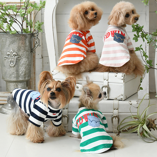 EDWIN_デニムポケットボーダーTシャツ