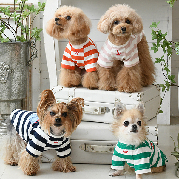 EDWIN_デニムポケットボーダーTシャツ