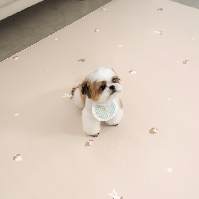 PUPPING