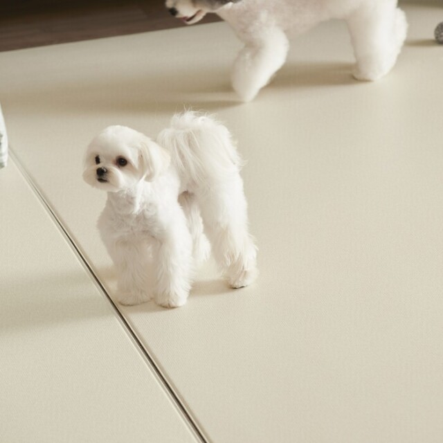 【PUPPING】ペットマット（バニラミルク）