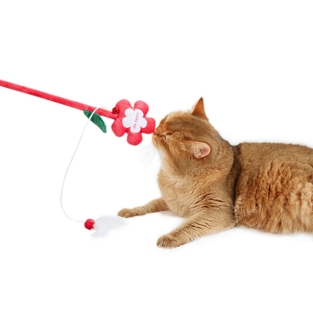 【Luuks up】Flower Bouquet Cat Teaser