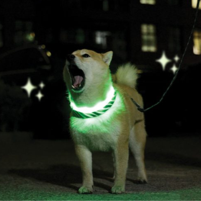 【M-PETS】FLASH LEDカラー Sサイズ