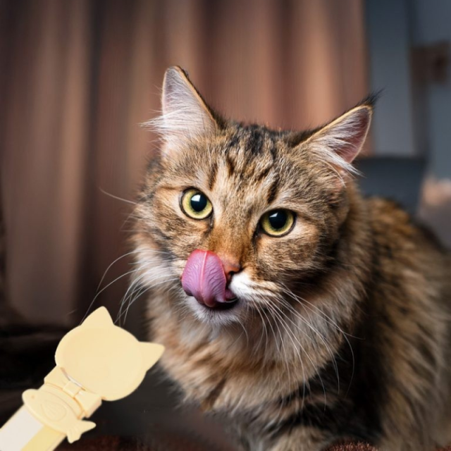 【M-PETS】Creamy CAT/BEE スプーン