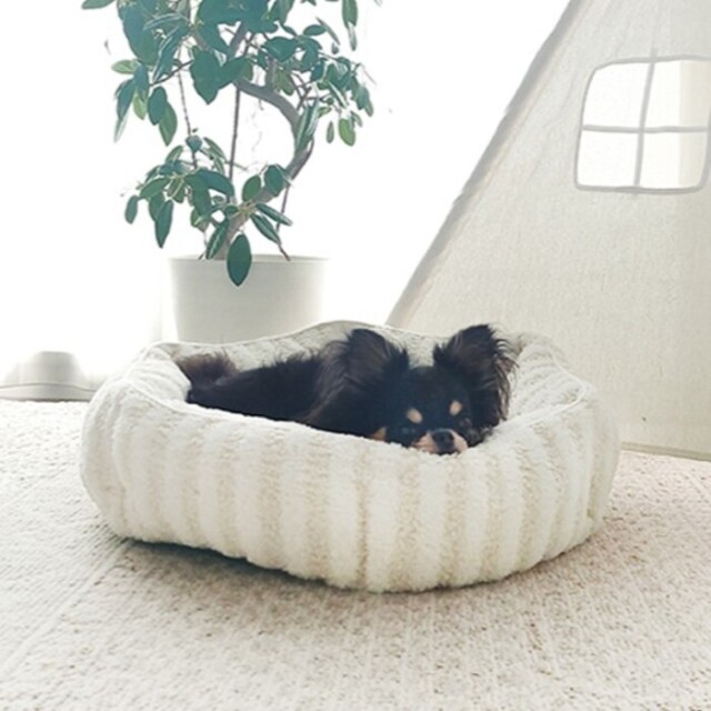 【Petifam】CottonCandyベッド ROUND