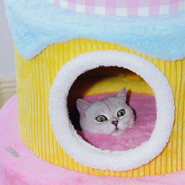 zeze】FESTIVAL Cream Cake Cat Frame Pets-first ONLINESTORE