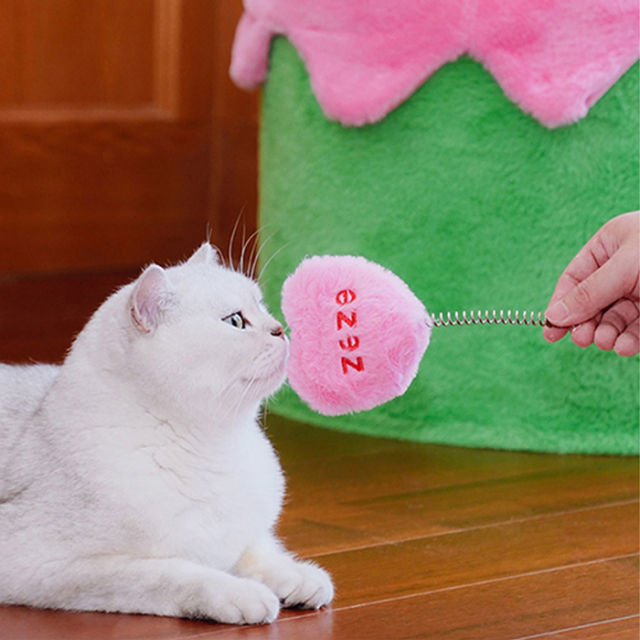 【zeze】FESTIVAL Cream Cake Cat Frame