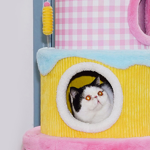 【zeze】FESTIVAL Cream Cake Cat Frame
