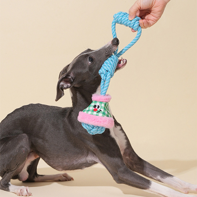 【zeze】DOG ROPE TOY Handle Ball
