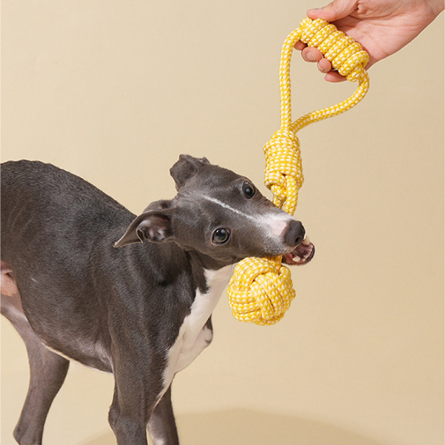 【zeze】DOG ROPE TOY Handle Ball