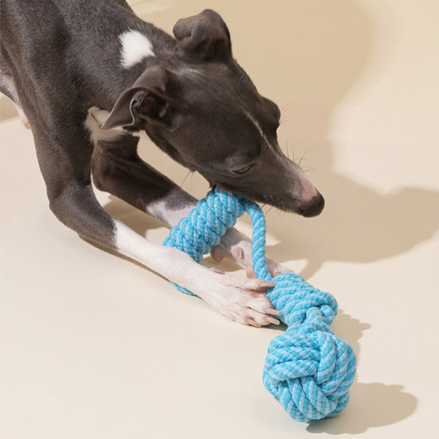 【zeze】DOG ROPE TOY Handle Ball