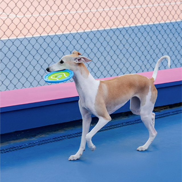 【zeze】DOG TOY Flying Disc