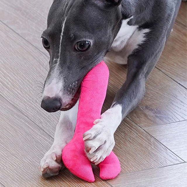【zeze】PET SNUFFLE MAT Tool Kit