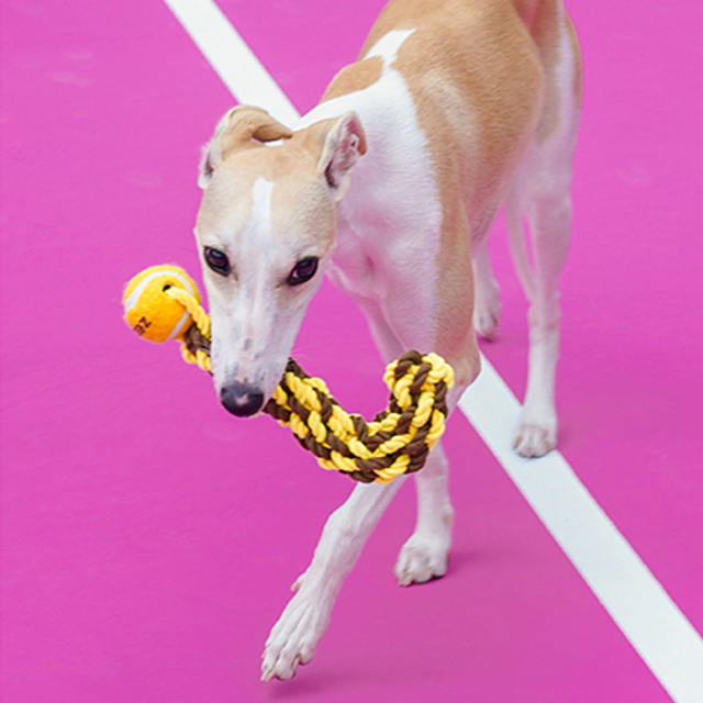 【zeze】DOG ROPE TOY Mark
