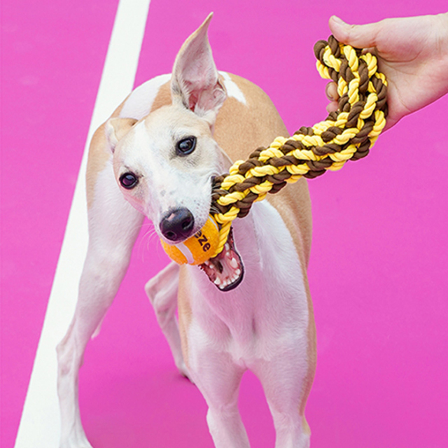 【zeze】DOG ROPE TOY Mark