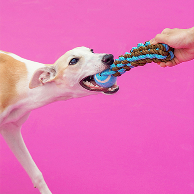 【zeze】DOG ROPE TOY Mark