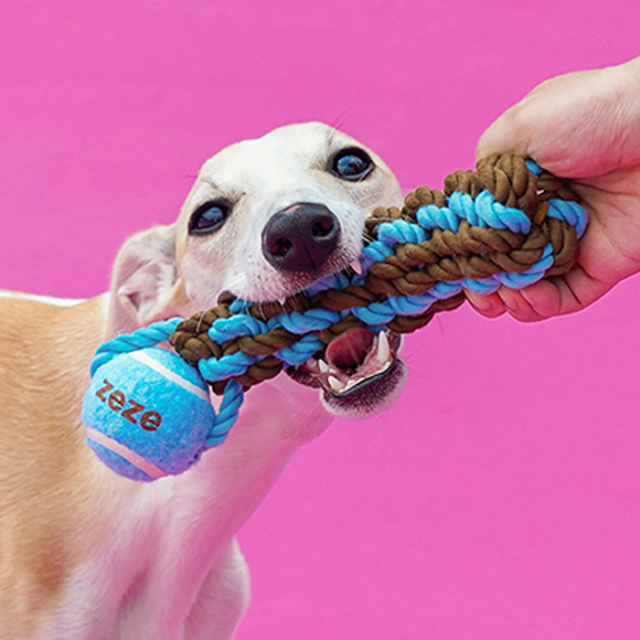 【zeze】DOG ROPE TOY Mark
