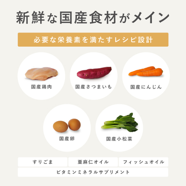 PETOKOTO】ペトコトフーズ ウェットドッグフード チキン Pets-first